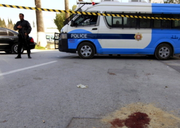 Attaque du Bardo : Ce n'est pas un loup solitaire...