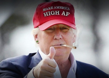 Washington rejette une offre d'Ankara en échange de l'arrêt des hostilités