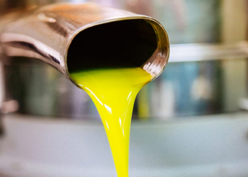 La Tunisie enregistre un record mondial de production d'huile d'olive