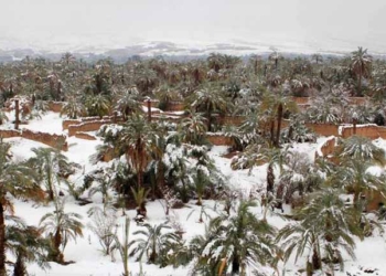 Des chutes de neiges inhabituelles dans le désert marocain