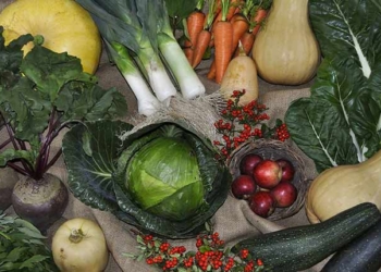 La Tunisie à l’honneur au 4ème forum agroalimentaire germano-africain