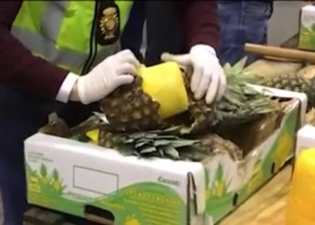 VIDEO. 745 kg de cocaïne dissimulés dans de faux ananas