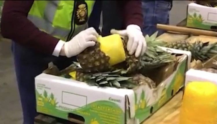 VIDEO. 745 kg de cocaïne dissimulés dans de faux ananas