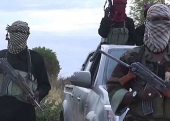 Cameroun : deux Tunisiens enlevés par des hommes armés