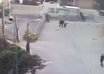 VIDEO. Un enfant de 3 ans arrêté par des soldats Israéliens