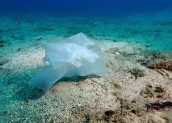 La Méditerranée pourrait devenir une « mer de plastique »