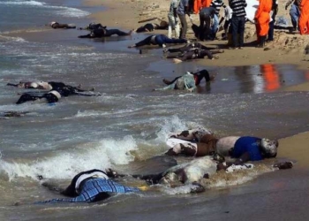 Onze cadavres de migrants repêchés au large de la Tunisie