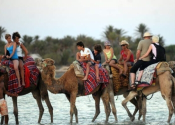 Tunisie : Evolution des recettes touristiques au cours des 5 premiers mois