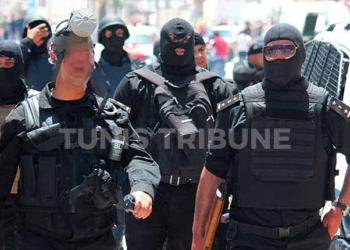 Tunisie: Les deux terroristes tués dans l’opération de Jelma classés « très dangereux »