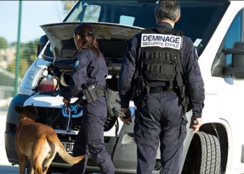 France : un arsenal d'armes retrouvé au domicile d'un octogénaire