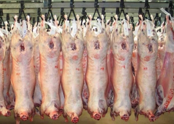 Ramadan : de la viande ovine d'Espagne pour réguler le marché