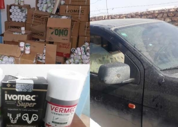 Tunisie : opération de contrebande de médicaments déjouée