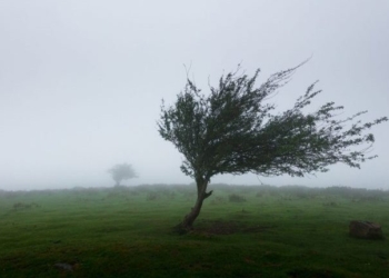 Tunisie/Alerte météo : Fortes rafales de vent sur les zones côtières et le sud