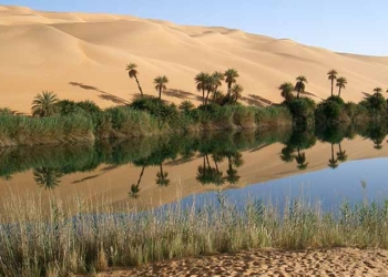 Tunisie: l’accord sur l’aménagement des oasis du sud tunisien sera signé en septembre 2019