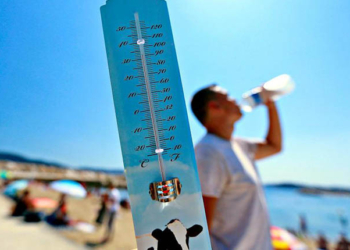 47°C en journée, 25°C la nuit : une canicule intense s’annonce en Tunisie