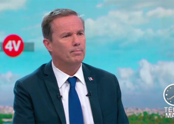 CAN 2019: « Si vous préférez l'Algérie, retournez-y », lance Dupont-Aignan