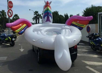 En images: chargement insolite dans le sud de la France