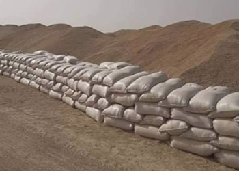 Près de 2,5 millions de quintaux de céréales abandonnés en bord de route (Vidéo)