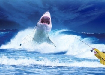 La Tunisie, 2ème plus gros pêcheur de requins de la Méditerranée
