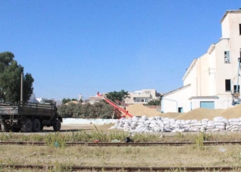 Siliana : des camions de l’armée mobilisés pour le transport de céréales