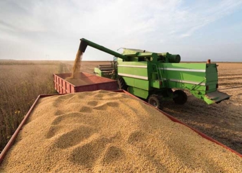 Tunisie : la récolte céréalière permettra de réduire les importations d'environ 70 millions de dollars