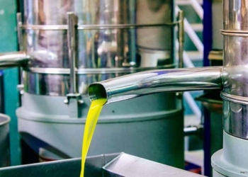 La Tunisie espère devenir le 2e producteur mondial d'huile d'olive