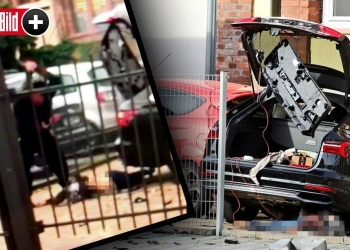 Allemagne : Un Tuniso-allemand décapite sa femme à coups de hache (Vidéo)