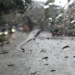 Météo Tunisie : orages violents et pluies soutenues
