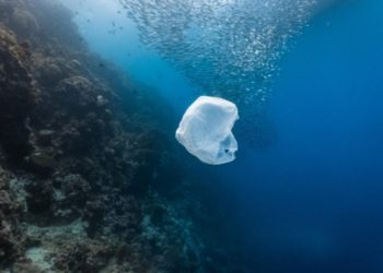 Avec les sacs en plastique, la Tunisie un gros pollueur de la Méditerranée