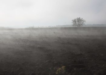 Météo Tunisie : les prévisions pour ce jeudi 23 janvier (et pour demain)