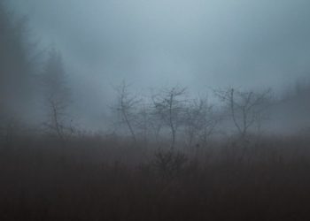 Météo Tunisie : les prévisions pour ce vendredi 24 janvier (et pour la nuit)