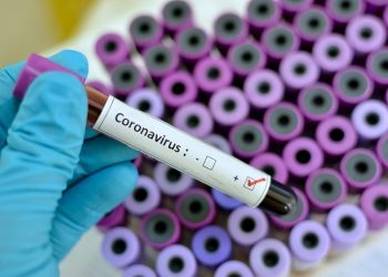 Coronavirus: 20 nouveaux cas confirmés en France