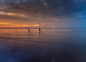 Un outil pour mesurer concrètement les apports de la biodiversité