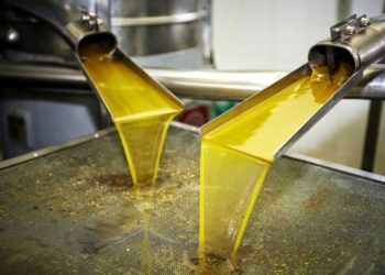 Tunisie : Les exportations d'huile d'olive atteignent 60 000 tonnes malgré la crise