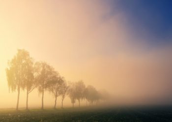 Tunisie : Prévisions météo pour ce dimanche 02 février 2020
