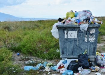 Faire payer les entreprises pour qu’elles réduisent les emballages