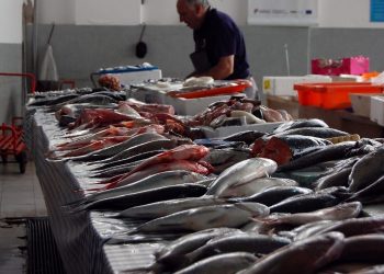 Tunisie : le taux d’inflation se replie à 5,8% en février 2020