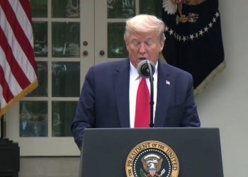 Donald Trump annonce la suspension la contribution américaine à l'OMS