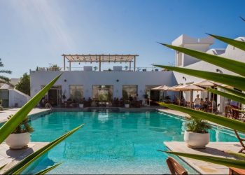 Tunisie : Les Jardins de Toumana, le paradis des confinés (vidéo)