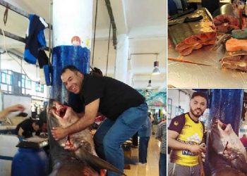 Un cétologue dénonce le braconnage en mer aux larges des côtes tunisiennes
