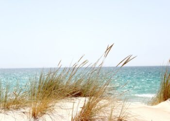 Tunisie : 23 plages seront interdites à la baignade cet été