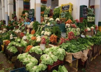 Le FMA accorde un prêt de 98 millions de dollars à la Tunisie
