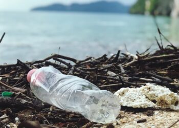 En France la relance économique sera verte