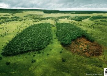 France: Des élus veulent mettre la pub au service de l'écologie