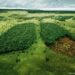 France: Des élus veulent mettre la pub au service de l'écologie
