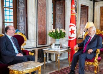 Tunisie : Ennahdha veut faire tomber le gouvernement