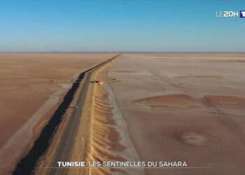 À la rencontre des sentinelles du Sahara en Tunisie (Vidéo)