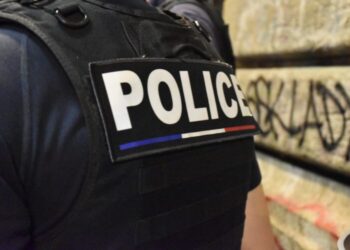 France : 16 Tchétchènes en garde à vue après un « Appel à la vengeance »