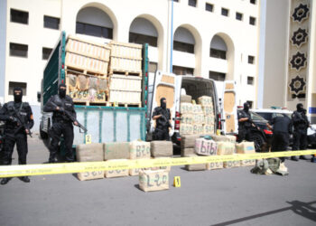 Maroc : saisie record de 13 tonnes de résine de cannabis