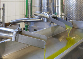 Tunisie: Des chiffres records des exportations d'huile d'olive